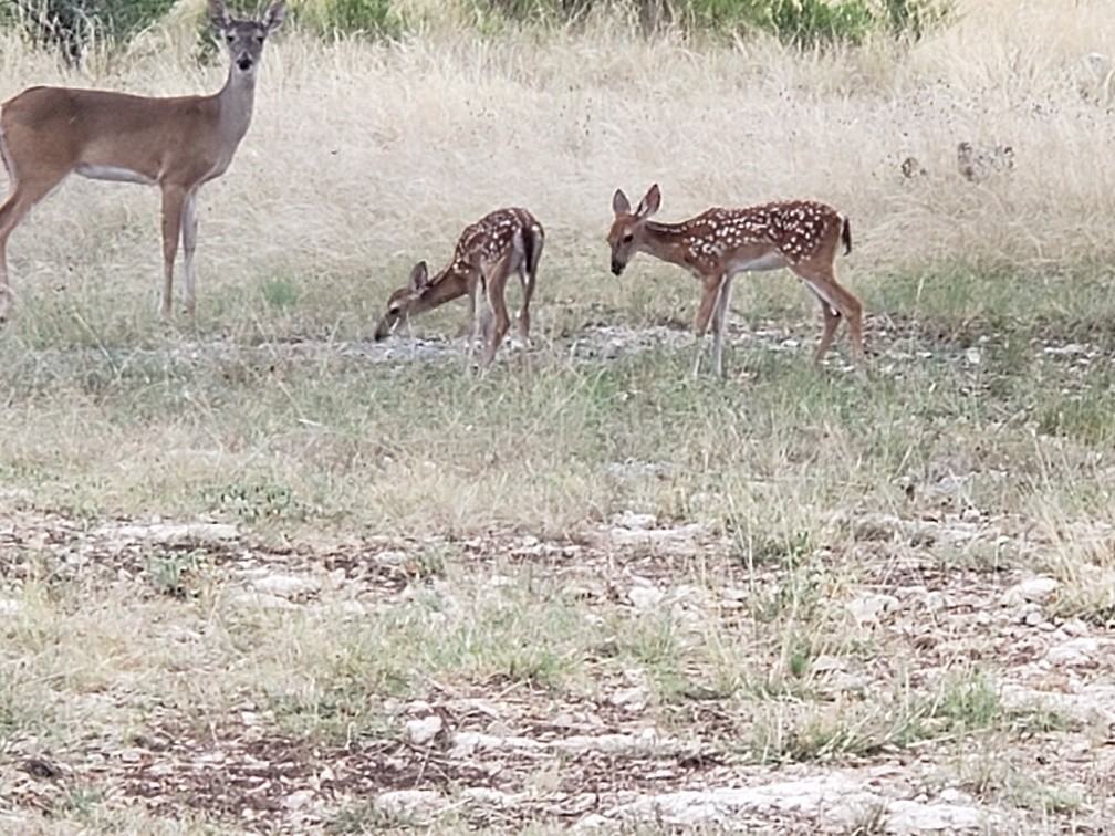 143 River Ranch Rd #NA - Photo 4 of 12