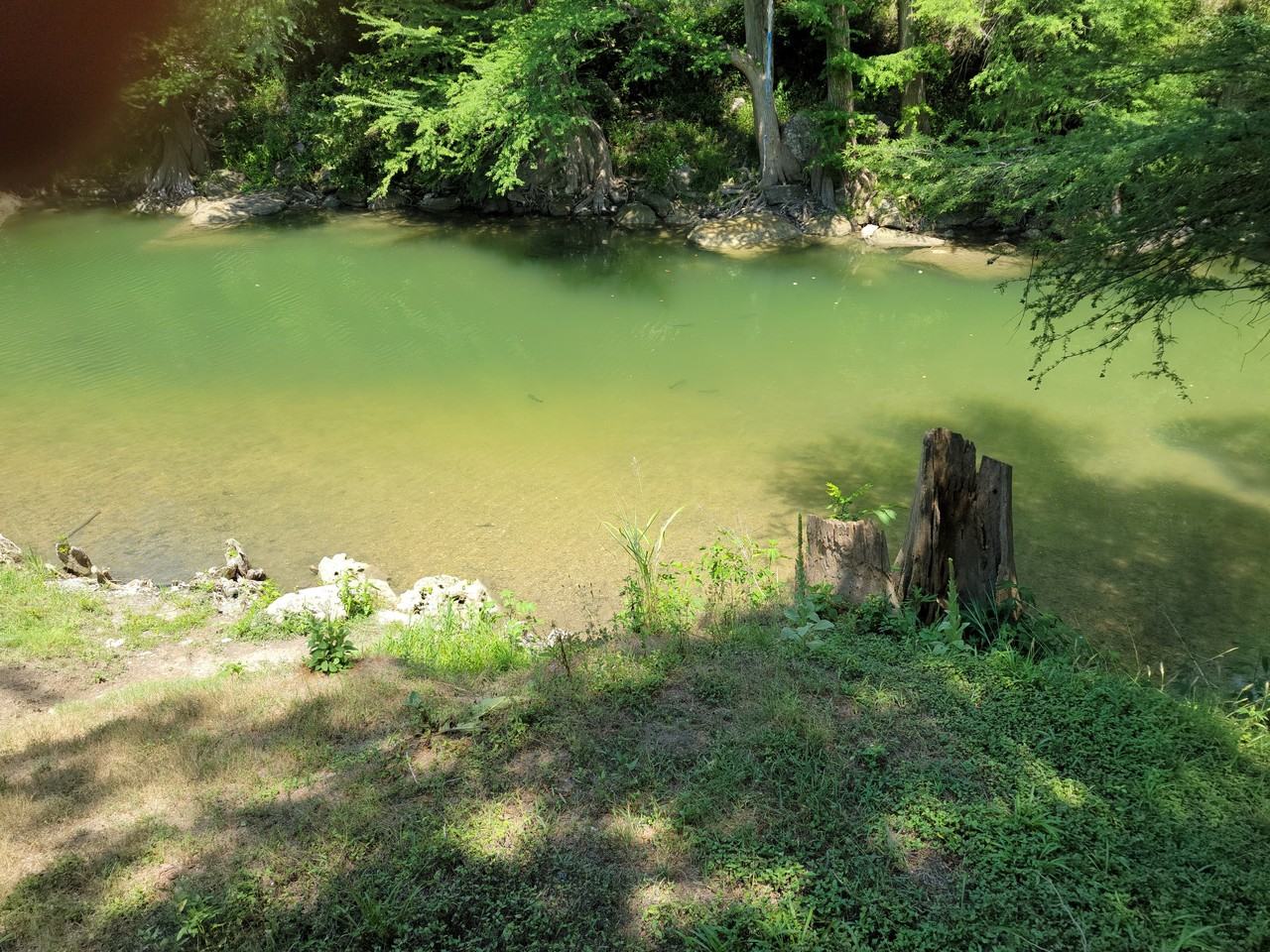 143 River Ranch Rd #NA - Photo 5 of 12