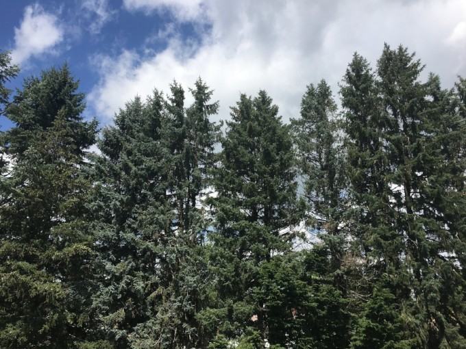 48 Union St #302 - Photo 2 of 27