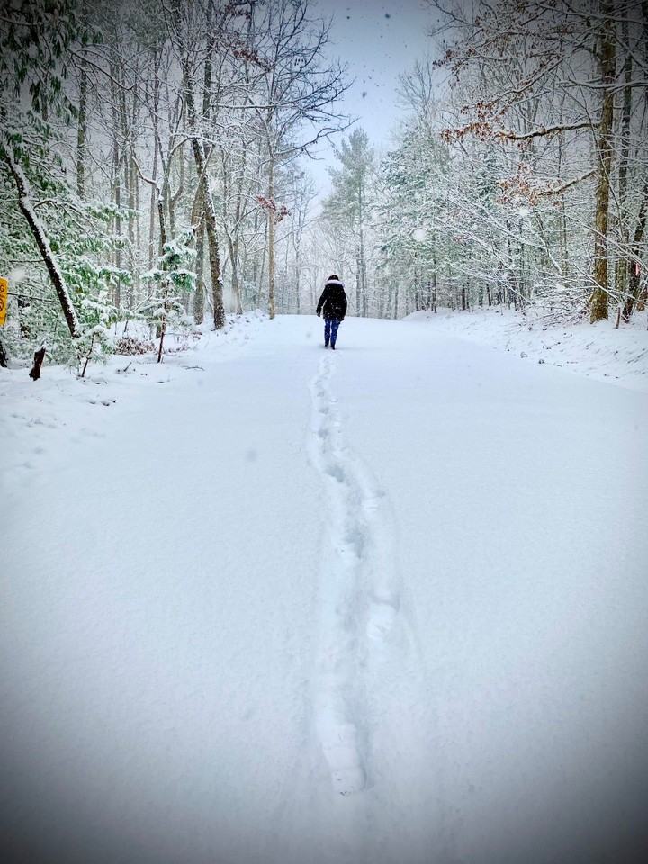 227 Seminole Rd #NA - Photo 5 of 37