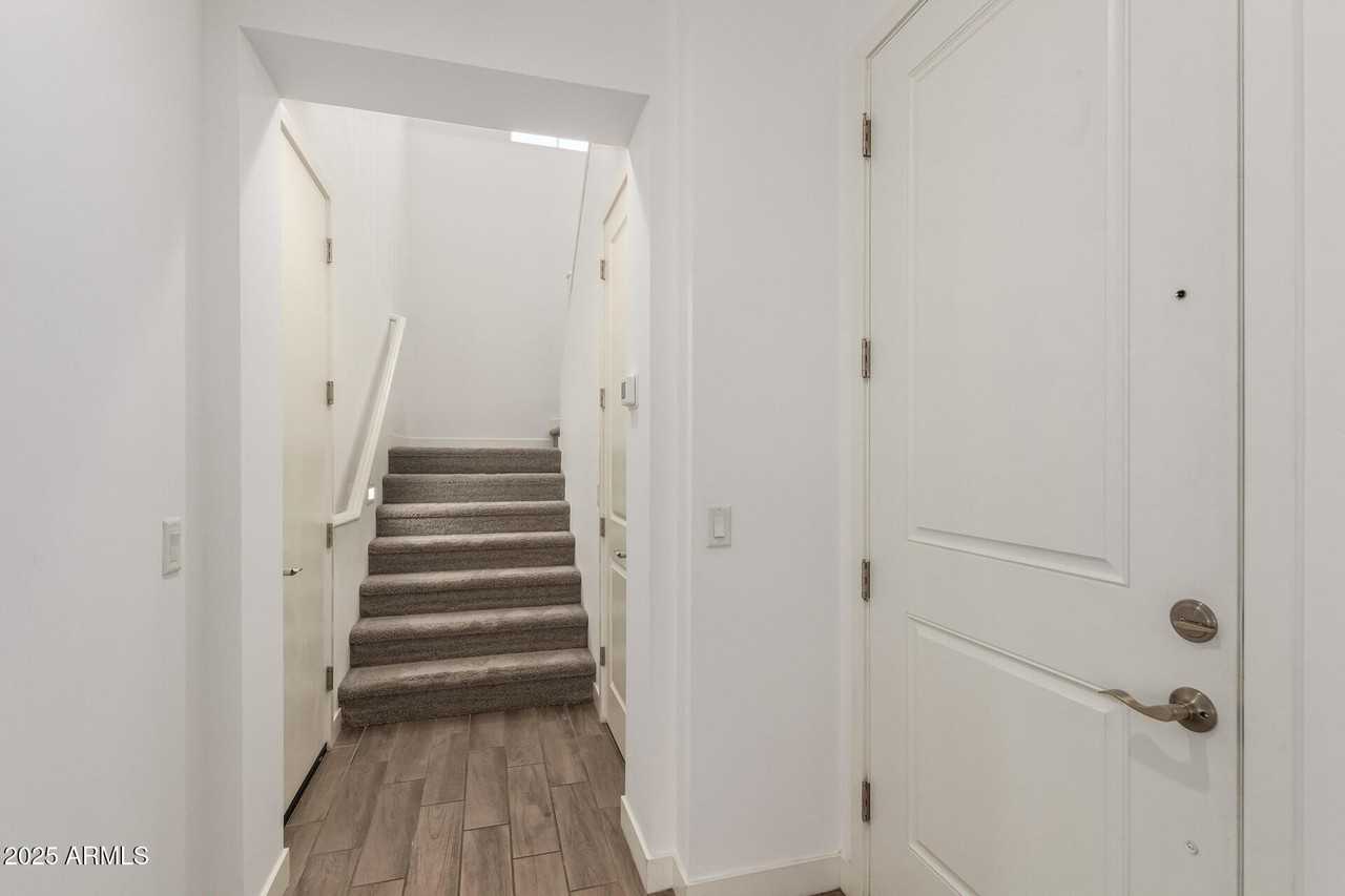 5552 S Dillon - Photo 4 of 50