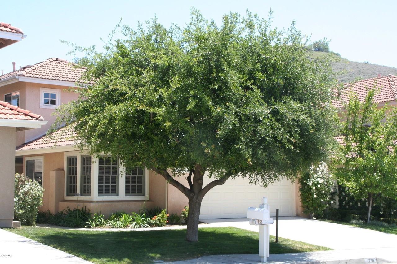 350 Ocho Rios Way - Photo 2 of 4