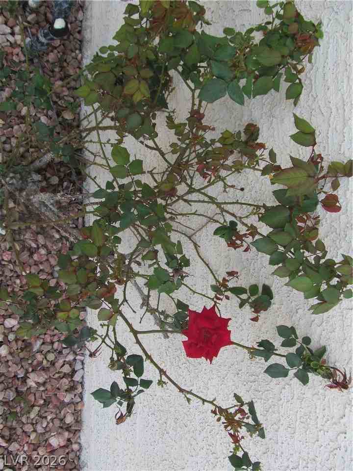 8257 Illusion Ct - Photo 3 of 31