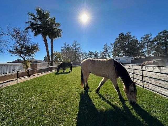 7729 Maverick St - Photo 4 of 16