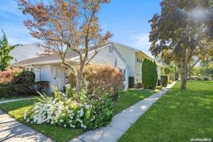 featured image of 51 Whalers Cv