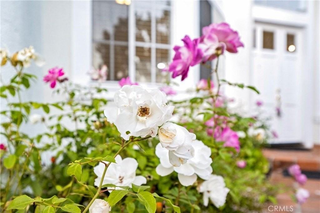 30786 La Mer - Photo 3 of 40