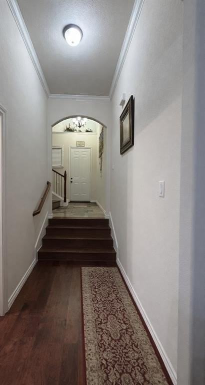 2373 Novin Dr - Photo 4 of 23