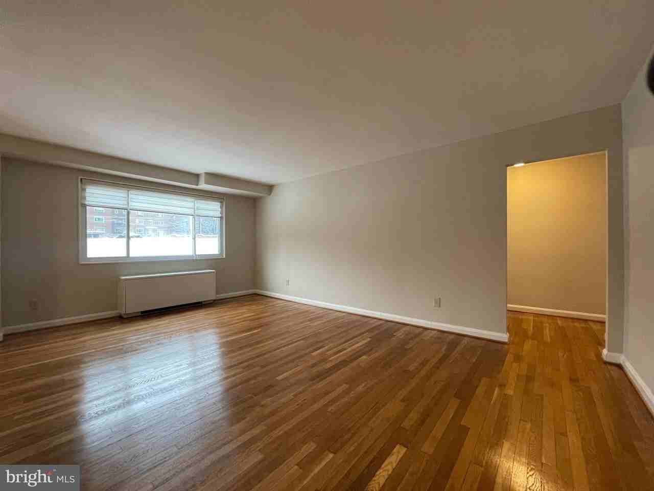 95 E Wayne Ave #309 - Photo 5 of 18