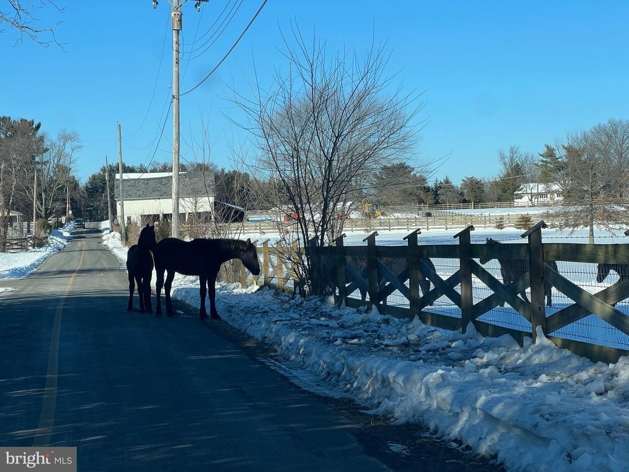 46 Buck Dr - Photo 5 of 5