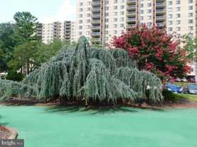 309 Yoakum Pkwy #504 - Photo 1 of 1