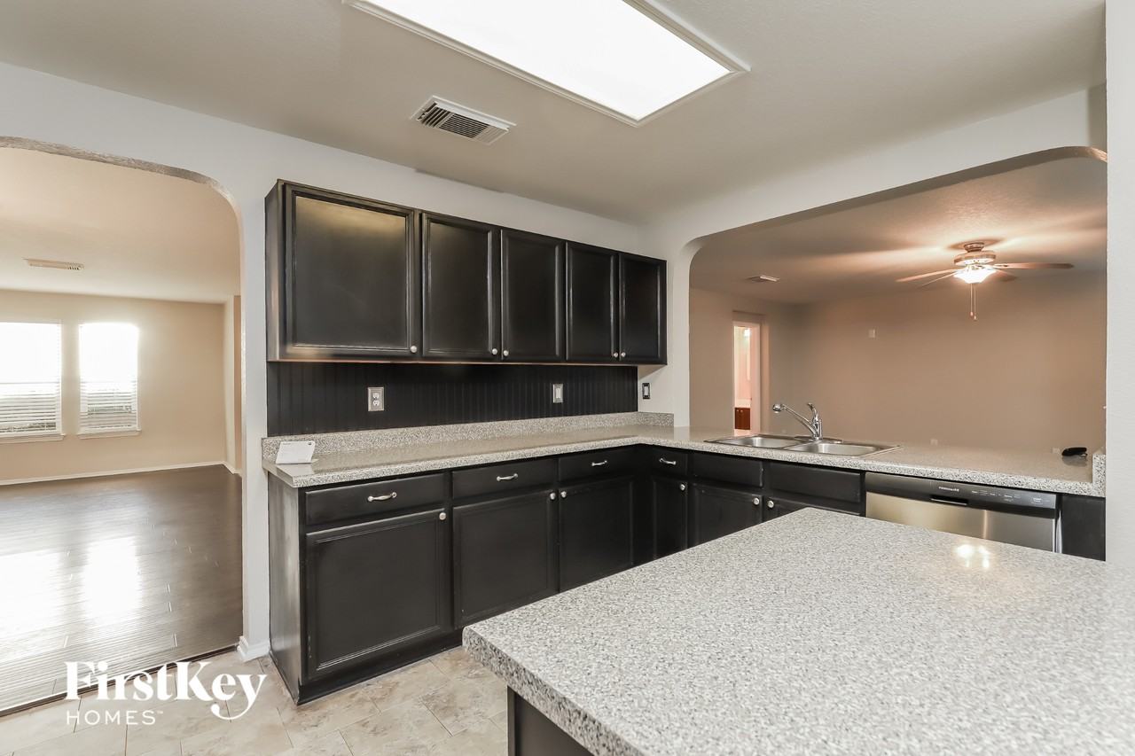 11019 Forest Shower - Photo 5 of 15