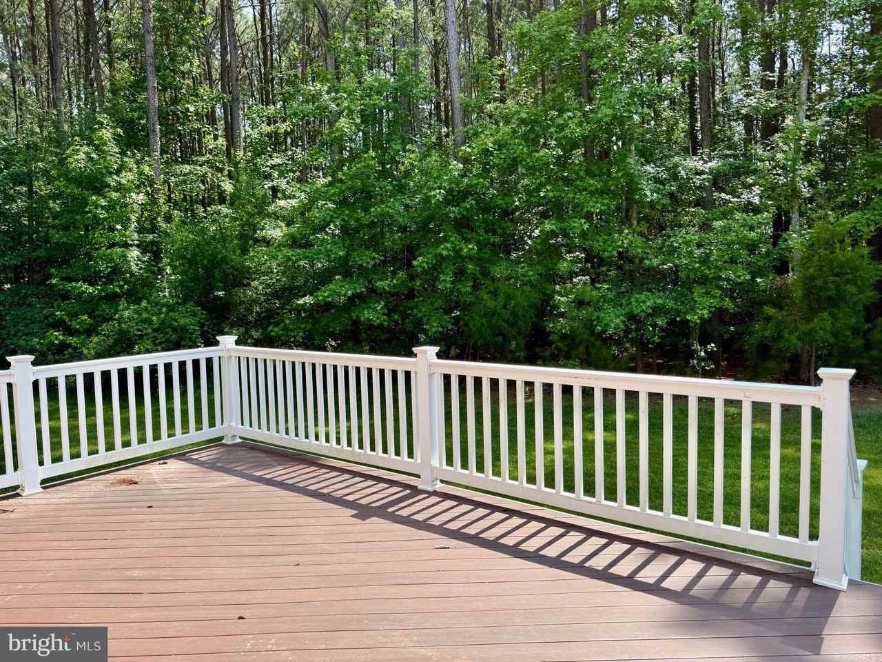 45325 Morgan Point Ln - Photo 3 of 28