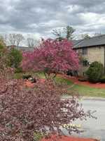 featured image of 1 Lancelot Ct #18