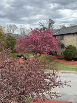 1 Lancelot Ct #18 - Photo 1 of 1