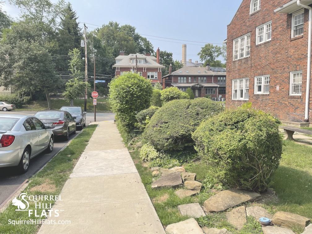 1405 Severn Street #B1 - Photo 6 of 83