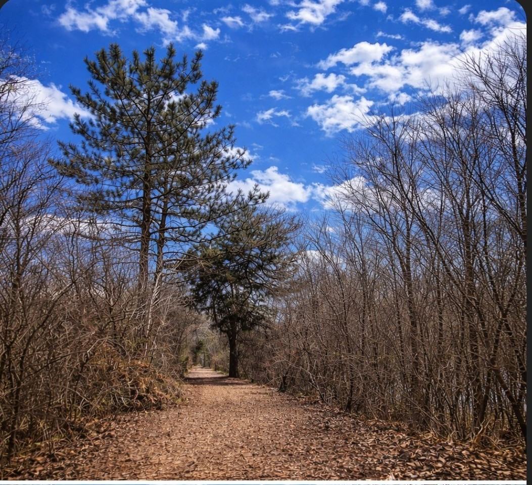 5508 S Stough St - Photo 6 of 32