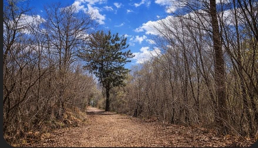 5508 S Stough St - Photo 7 of 32