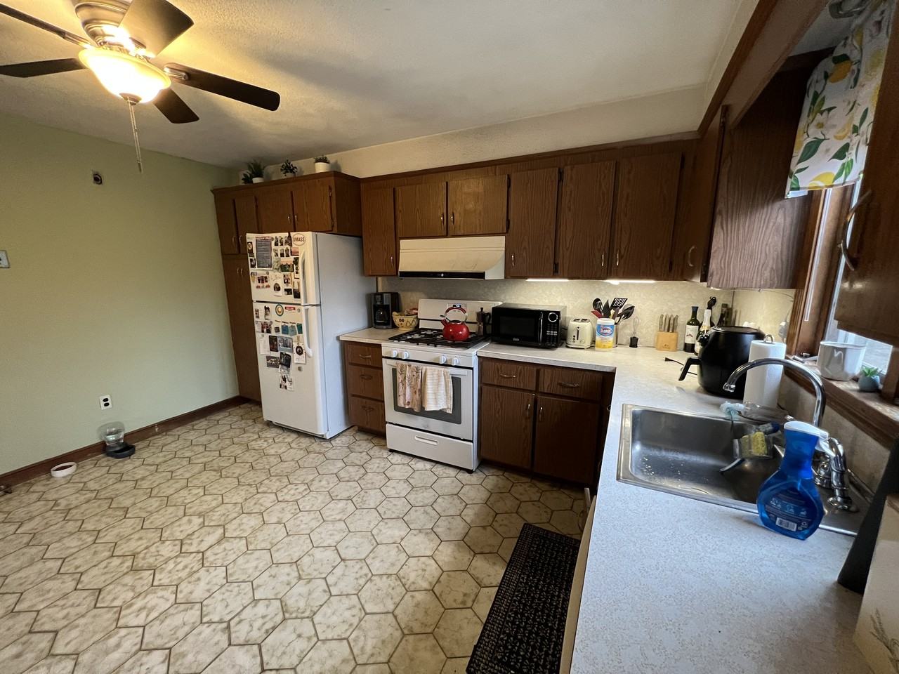 213 Holland Street #R - Photo 4 of 20