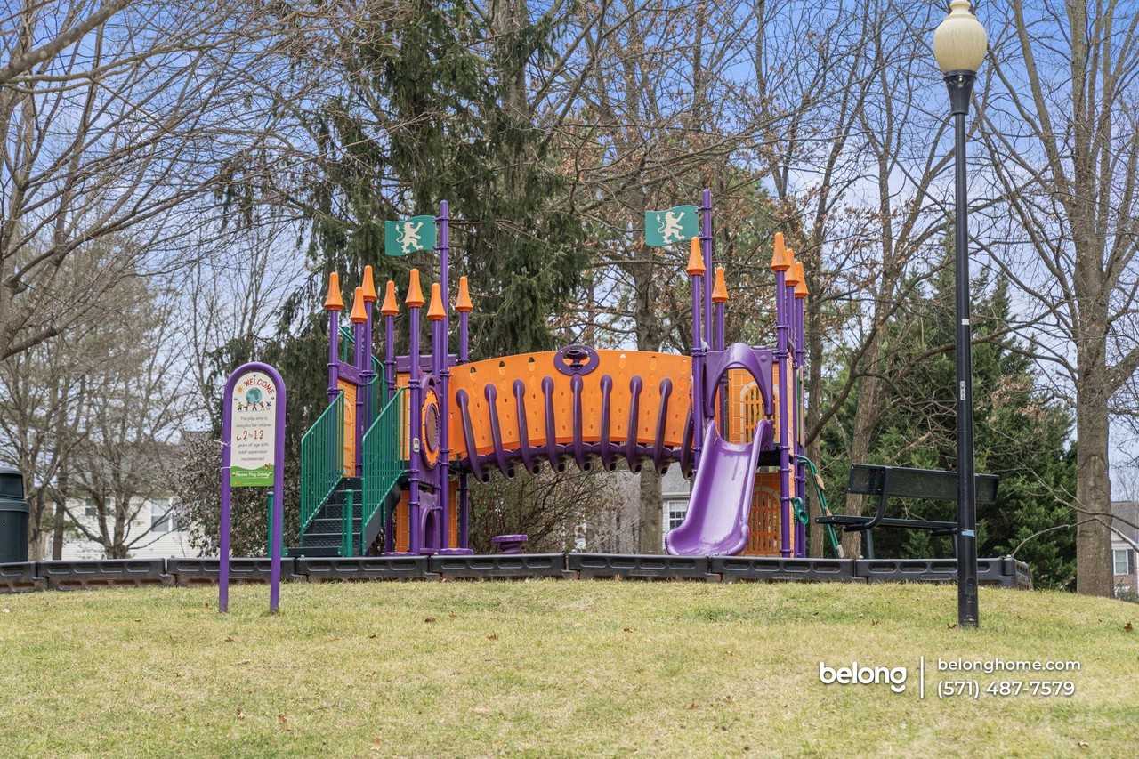 47339 Blackwater Falls Ter - Photo 3 of 50