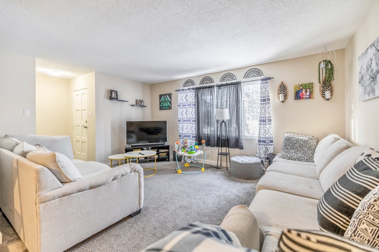 1041 Cavalier Drive - Photo 2 of 19