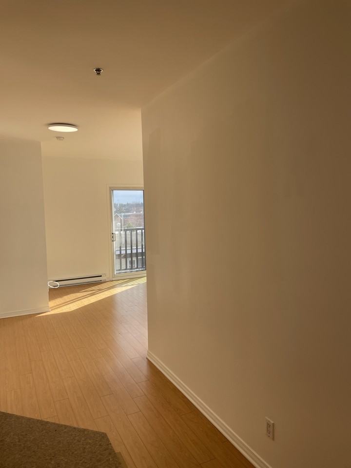 7225 Rue Durocher #402 - Photo 4 of 11