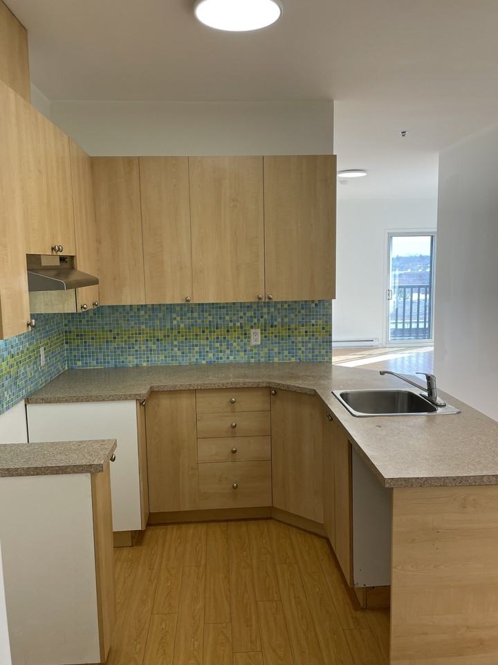 7225 Rue Durocher #402 - Photo 5 of 11