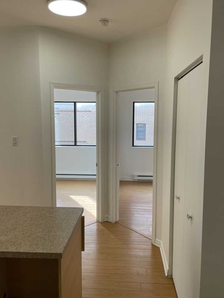 7225 Rue Durocher #402 - Photo 6 of 11