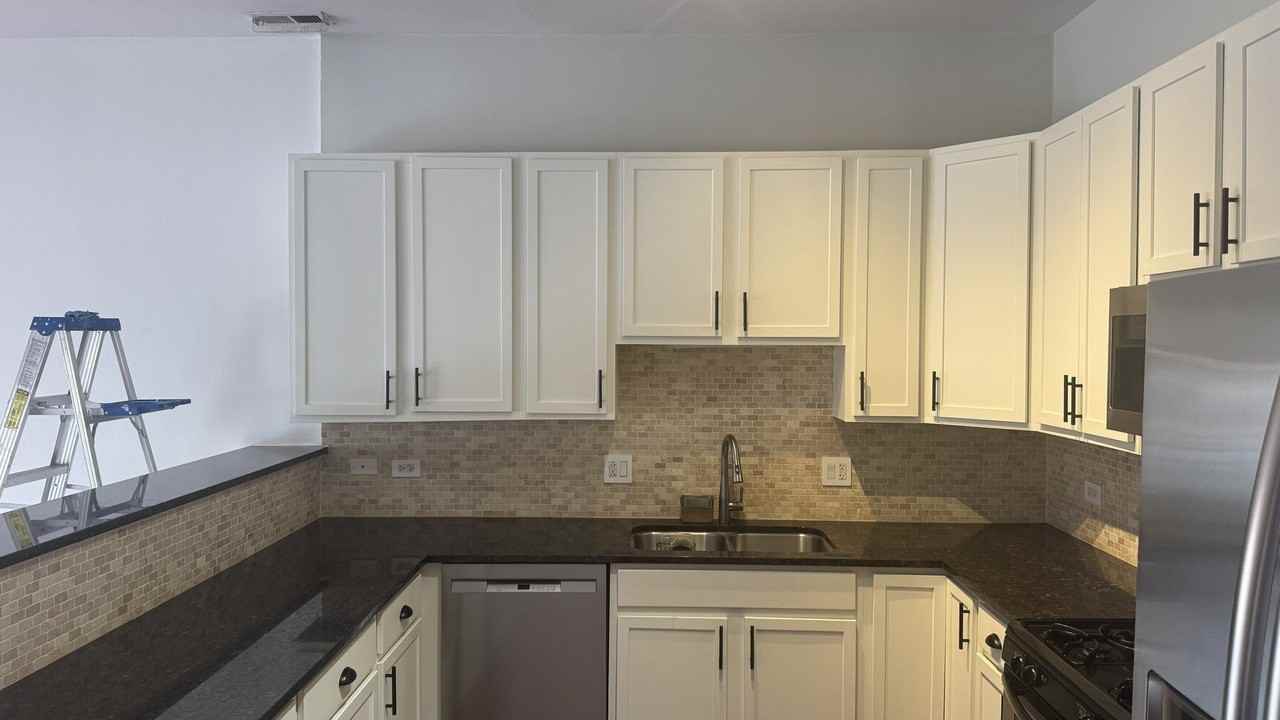 2507 N Milwaukee Ave Unit 2n - Photo 7 of 35