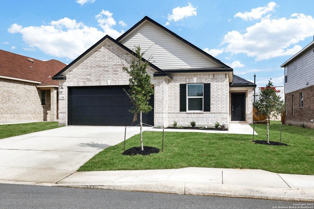 614 Eucharis - Photo 2 of 25