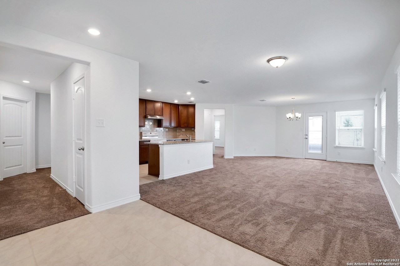 614 Eucharis - Photo 3 of 25