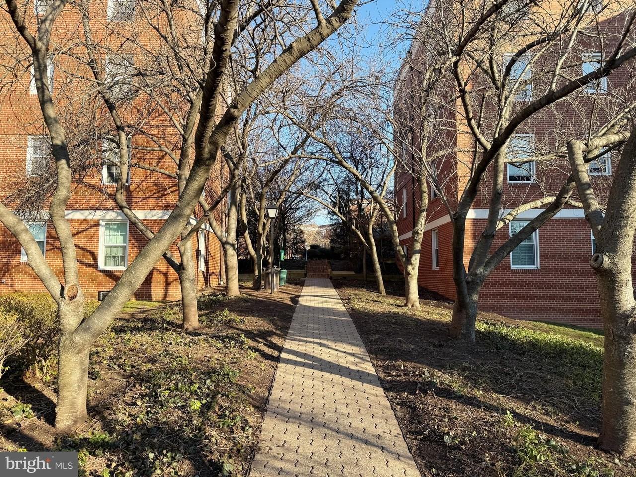 26 S Old Glebe Rd Apt 305-B - Photo 2 of 17