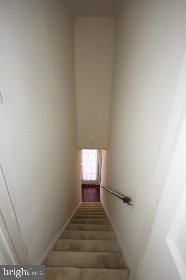 1006 Oronoco St Uppr Level - Photo 2 of 20