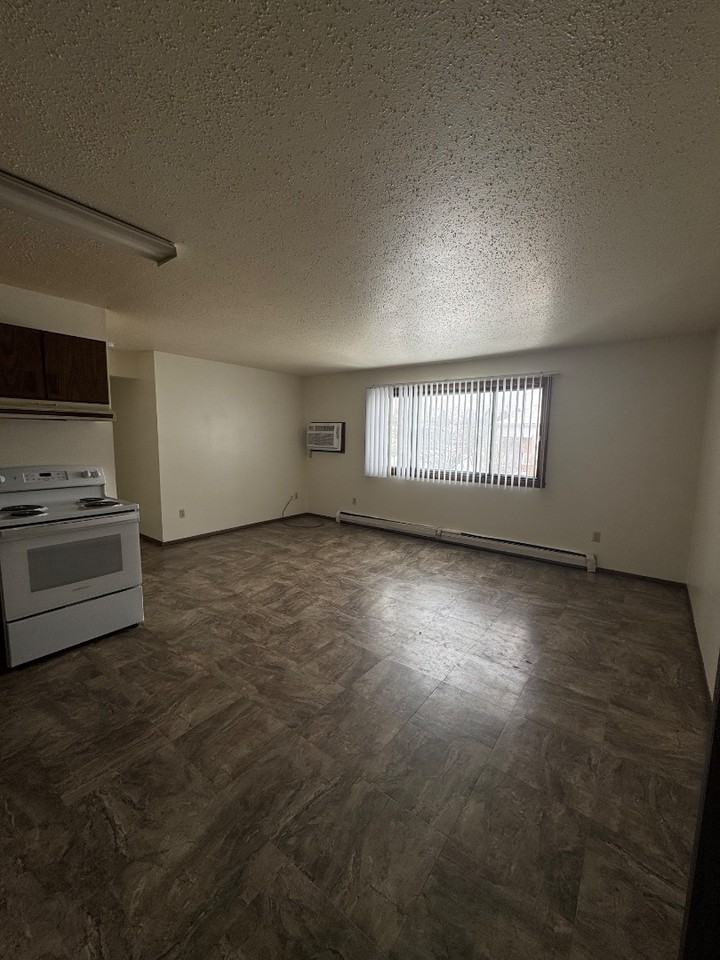 145 4th St SW - Photo 4 of 11