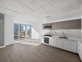 163 N Desplaines St #506 - Photo 1 of 1