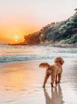 133 Boracay Cir - Photo 1 of 1