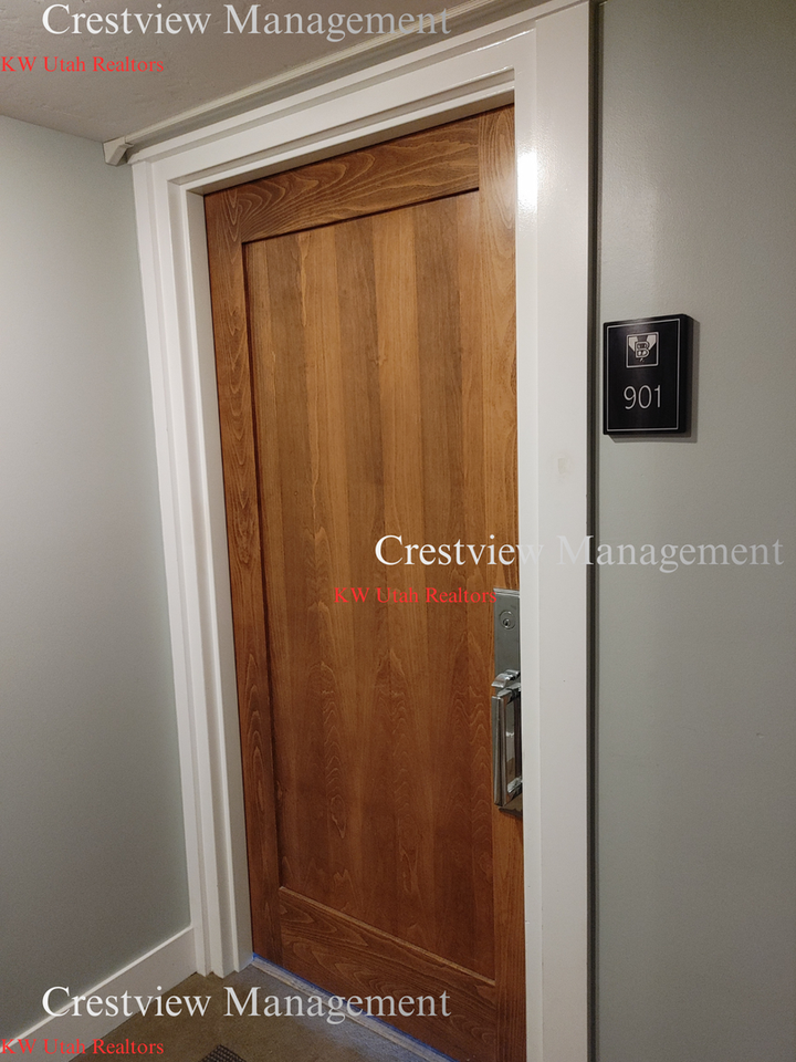 230 E Broadway #901 - Photo 4 of 16