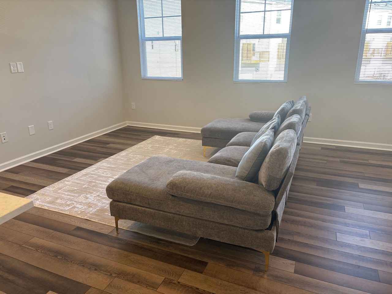 1007 Hemlock Cone Way - Photo 4 of 17