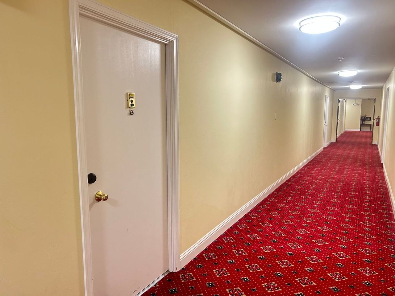 951 Ronald Ave - Photo 4 of 21