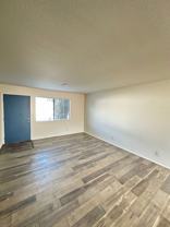 PEDRO - Photo 1 of 1