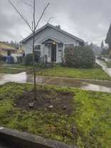 1219 Ruge St Nw - Photo 1 of 1