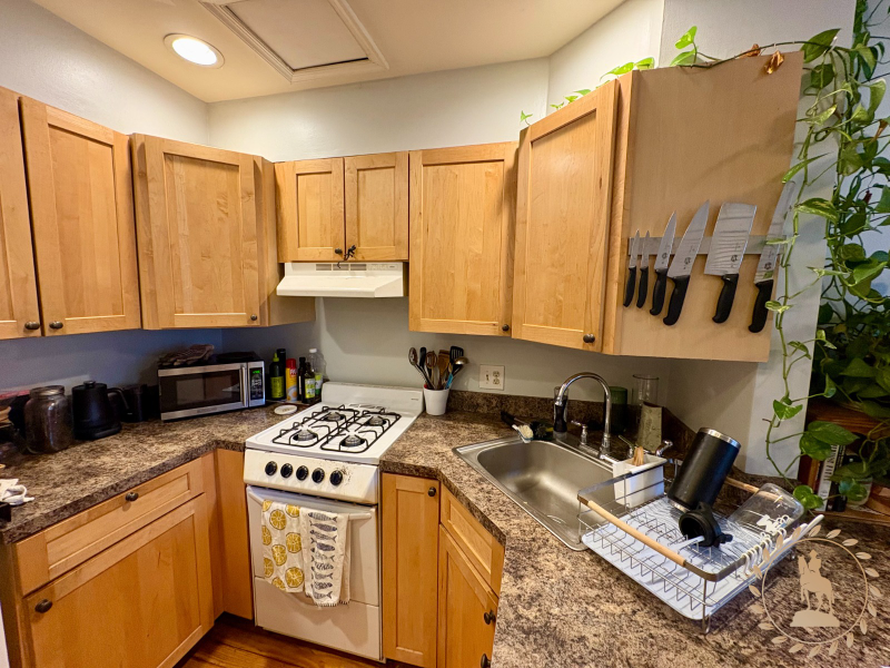 211 W Mount Royal Ave #211MR2 - Photo 7 of 19