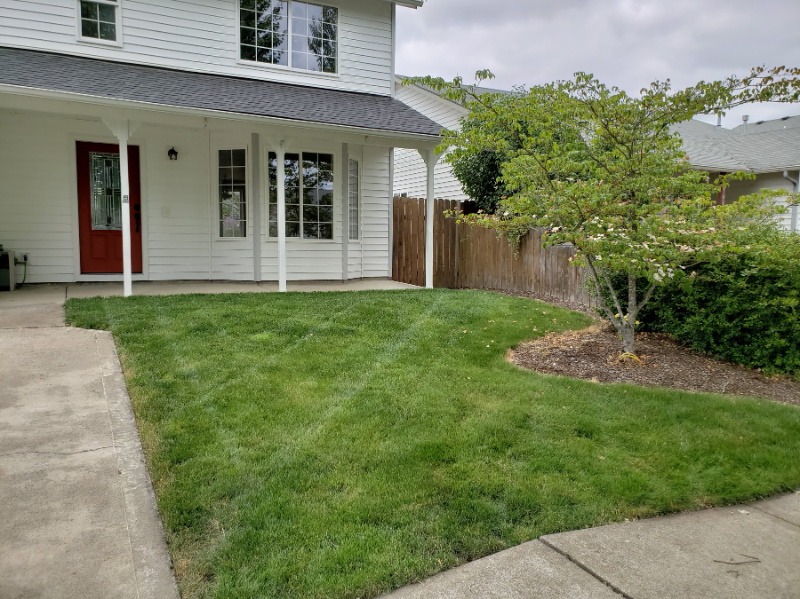 770 Hyacinth St - Photo 2 of 20