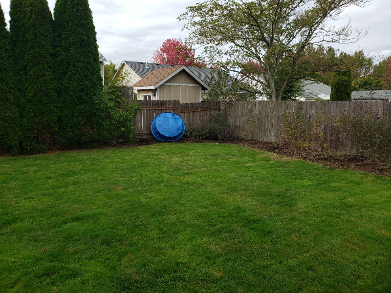 770 Hyacinth St - Photo 3 of 20