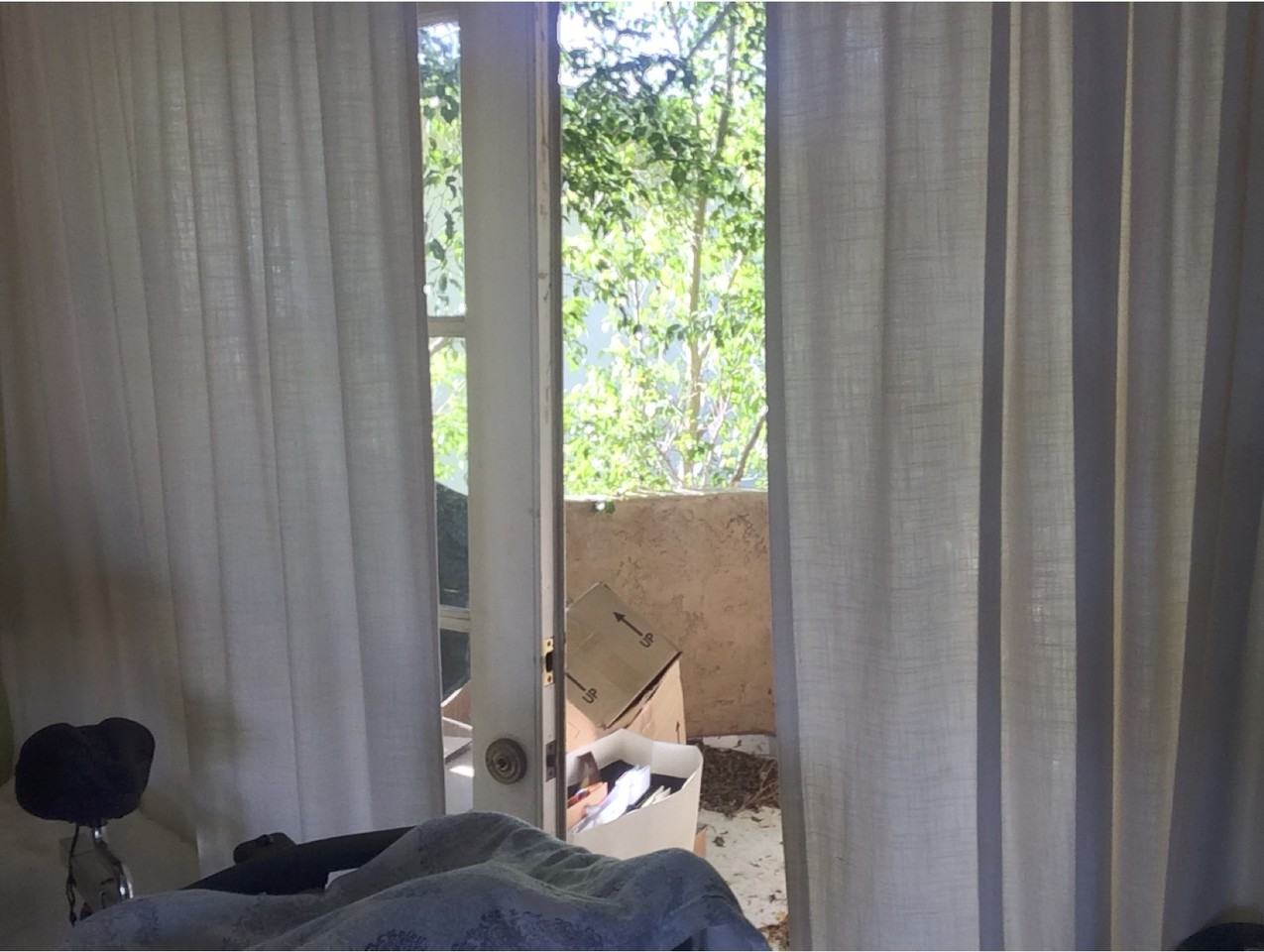 26801 Avenida Las Palmas #B1 - Photo 3 of 12