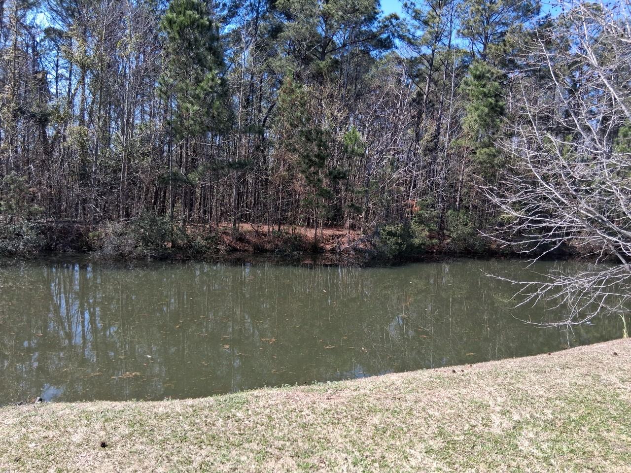 5047 Wheeler Lake Rd #5047 - Photo 6 of 15