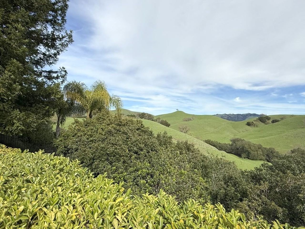 4466 Deer Ridge Rd - Photo 3 of 50