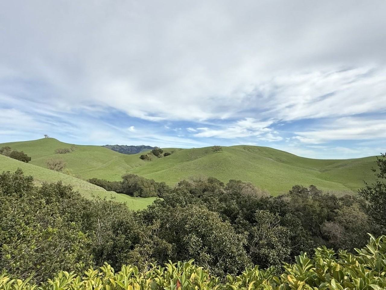 4466 Deer Ridge Rd - Photo 4 of 50