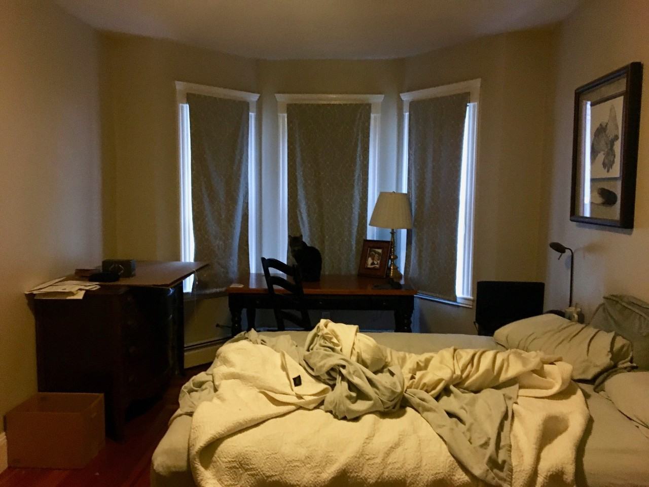 91 Wallingford Rd #1 - Photo 6 of 7