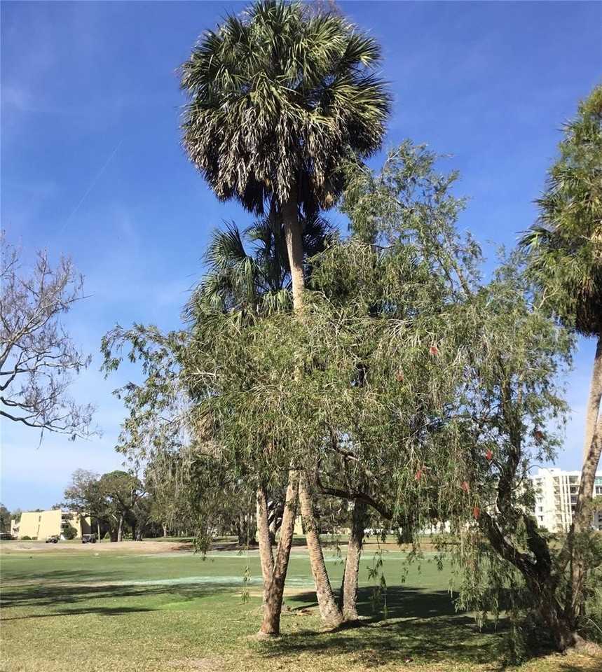 48 Country Club Dr #48 - Photo 3 of 5