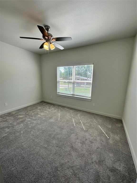 1005 Dubois St - Photo 5 of 17